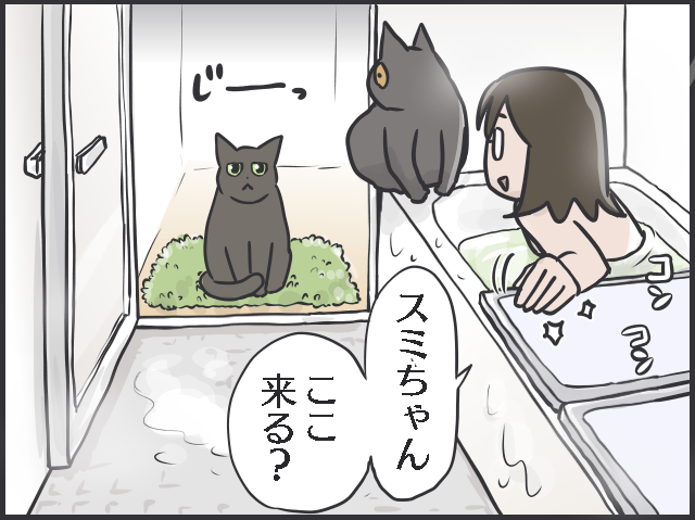 「猫は水が苦手」なはずでは...？入浴中にやってくる我が家の猫たち／フニャコ（6）