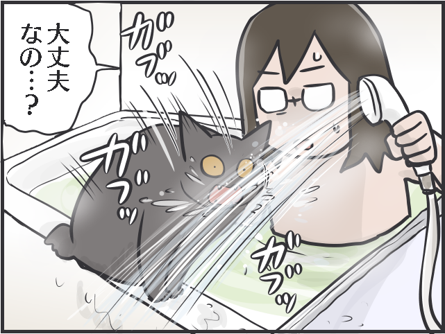 「猫は水が苦手」なはずでは...？入浴中にやってくる我が家の猫たち／フニャコ（8）