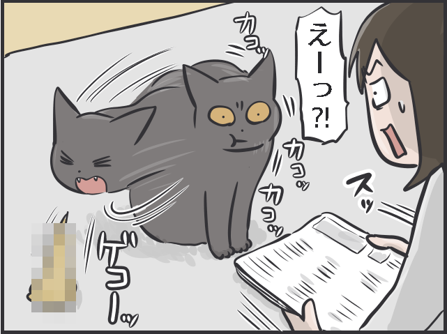 あっ、吐く！ 愛猫が室内で嘔吐しそうになった瞬間、思わずとった捨て身の「行動」／フニャコ（6）