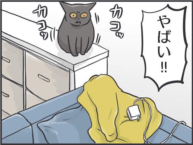 あっ、吐く！ 愛猫が室内で嘔吐しそうになった瞬間、思わずとった捨て身の「行動」／フニャコ（7）