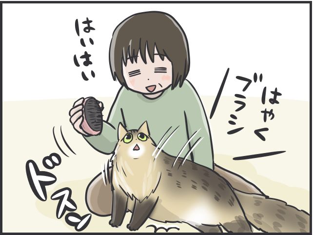 「愛猫を幸せにする！」使命感が70代母の元気の源に。母の「猫ファースト」な暮らしぶり／フニャコ（1）