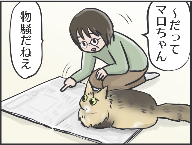 「愛猫を幸せにする！」使命感が70代母の元気の源に。母の「猫ファースト」な暮らしぶり／フニャコ（4）