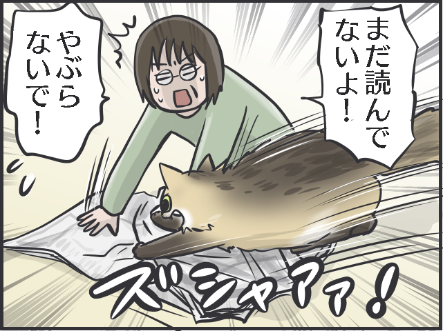 「愛猫を幸せにする！」使命感が70代母の元気の源に。母の「猫ファースト」な暮らしぶり／フニャコ（5）