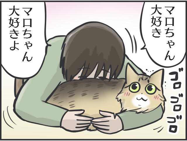 「愛猫を幸せにする！」使命感が70代母の元気の源に。母の「猫ファースト」な暮らしぶり／フニャコ（8）