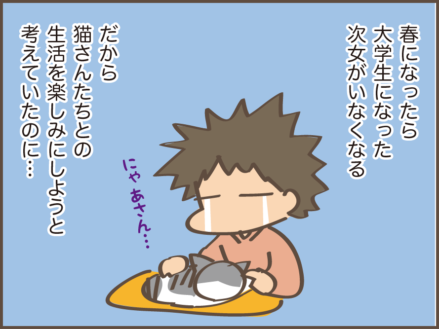 虹の橋を渡った愛猫・にゃあさん。生活の中で痛感する「にゃあさん、もういないんだ...」／しまえもん（3）