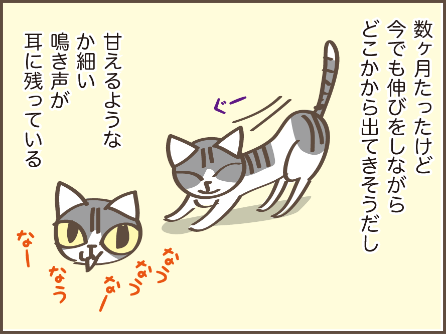 虹の橋を渡った愛猫・にゃあさん。生活の中で痛感する「にゃあさん、もういないんだ...」／しまえもん（4）