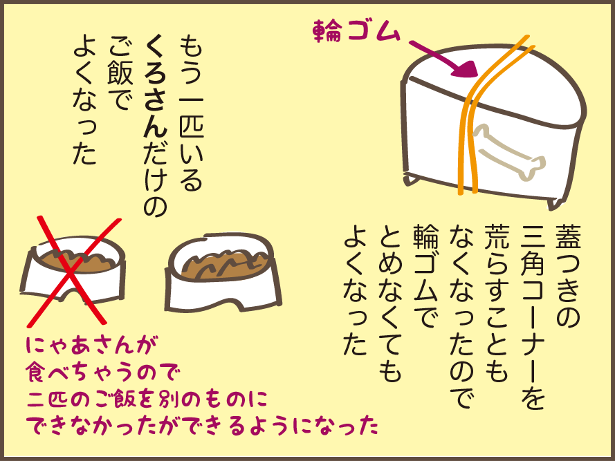 虹の橋を渡った愛猫・にゃあさん。生活の中で痛感する「にゃあさん、もういないんだ...」／しまえもん（7）