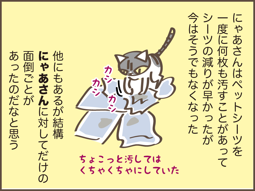 虹の橋を渡った愛猫・にゃあさん。生活の中で痛感する「にゃあさん、もういないんだ...」／しまえもん（8）