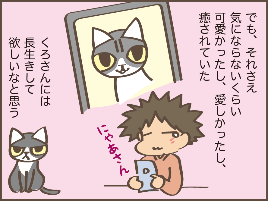 虹の橋を渡った愛猫・にゃあさん。生活の中で痛感する「にゃあさん、もういないんだ...」／しまえもん（9）