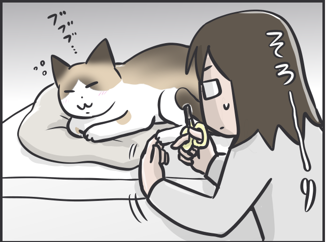 愛猫の爪切りで失敗！ 深爪で血が止まらない...動揺しながら試した「対処法」／フニャコ（1）