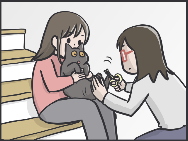 愛猫の爪切りで失敗！ 深爪で血が止まらない...動揺しながら試した「対処法」／フニャコ（3）