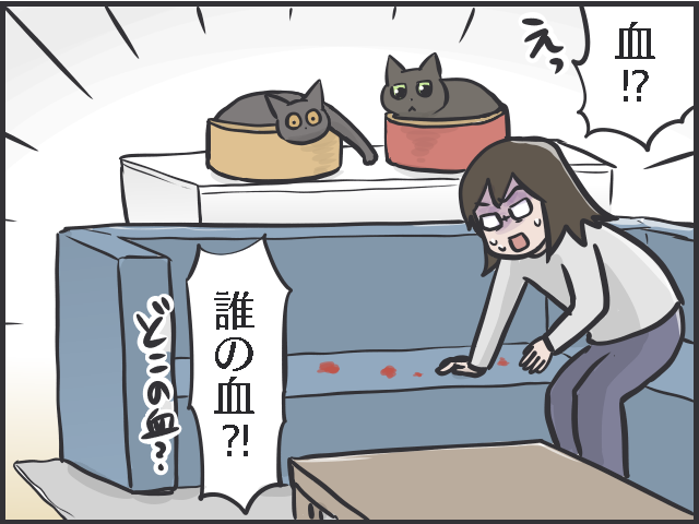 愛猫の爪切りで失敗！ 深爪で血が止まらない...動揺しながら試した「対処法」／フニャコ（4）