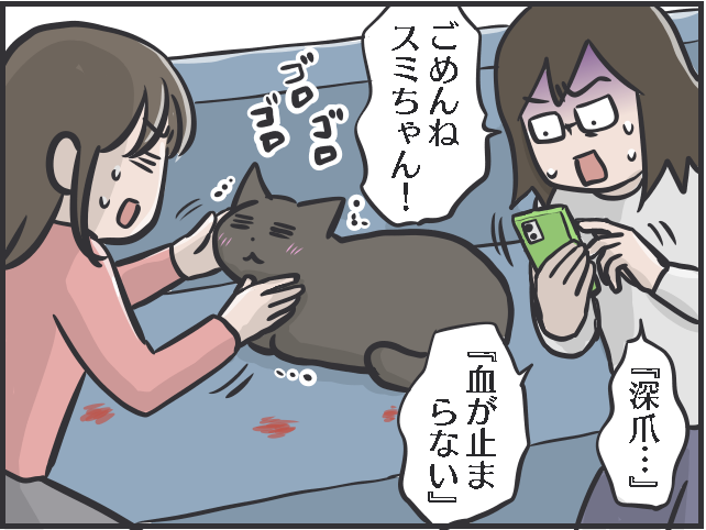 愛猫の爪切りで失敗！ 深爪で血が止まらない...動揺しながら試した「対処法」／フニャコ（5）