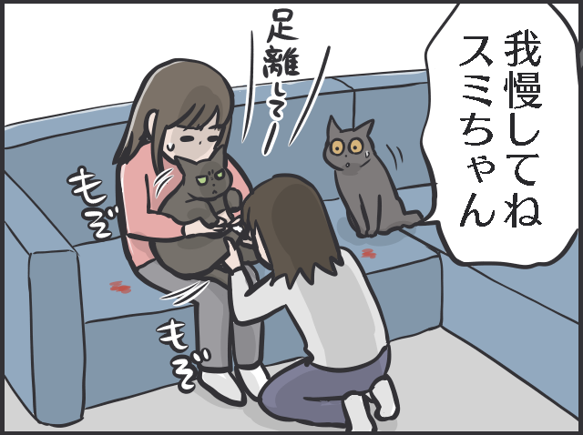 愛猫の爪切りで失敗！ 深爪で血が止まらない...動揺しながら試した「対処法」／フニャコ（6）