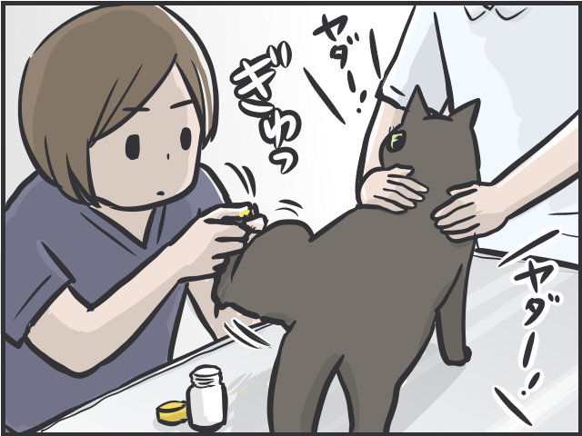 愛猫の爪切りで失敗！ 深爪で血が止まらない...動揺しながら試した「対処法」／フニャコ（7）