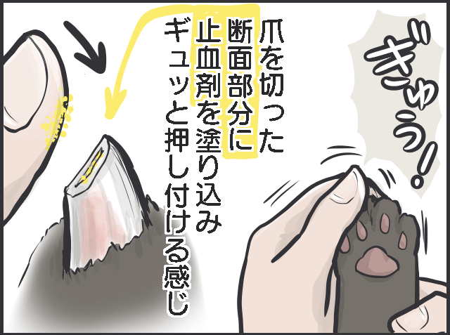 愛猫の爪切りで失敗！ 深爪で血が止まらない...動揺しながら試した「対処法」／フニャコ（8）