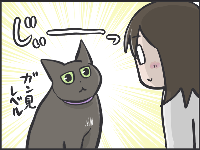 ツンデレ愛猫が愛おしい！「つれない態度」が多いけれど、その分甘えられた時の幸せたるや...／フニャコ（1）