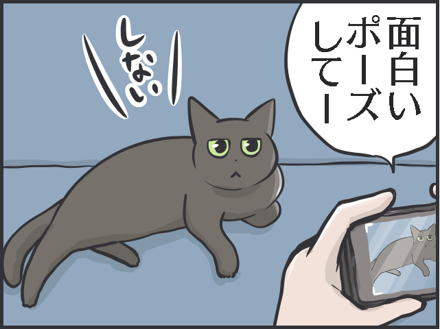 ツンデレ愛猫が愛おしい！「つれない態度」が多いけれど、その分甘えられた時の幸せたるや...／フニャコ（2）