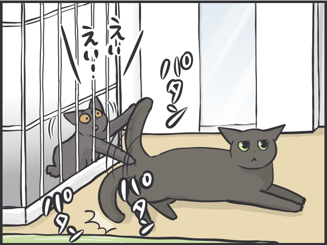 ツンデレ愛猫が愛おしい！「つれない態度」が多いけれど、その分甘えられた時の幸せたるや...／フニャコ（4）