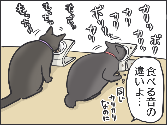 ツンデレ愛猫が愛おしい！「つれない態度」が多いけれど、その分甘えられた時の幸せたるや...／フニャコ（6）