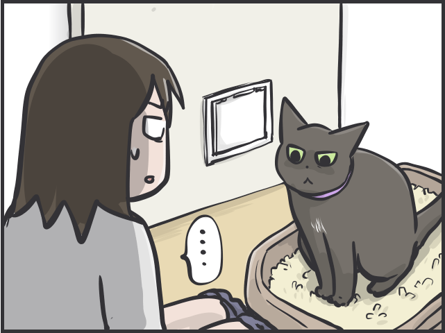 ツンデレ愛猫が愛おしい！「つれない態度」が多いけれど、その分甘えられた時の幸せたるや...／フニャコ（8）