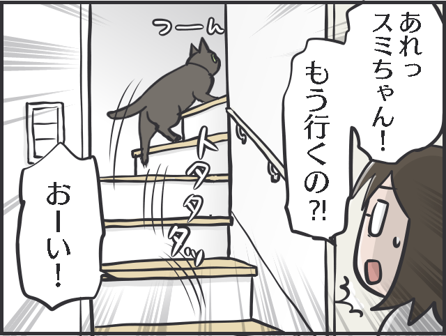 ツンデレ愛猫が愛おしい！「つれない態度」が多いけれど、その分甘えられた時の幸せたるや...／フニャコ（9）