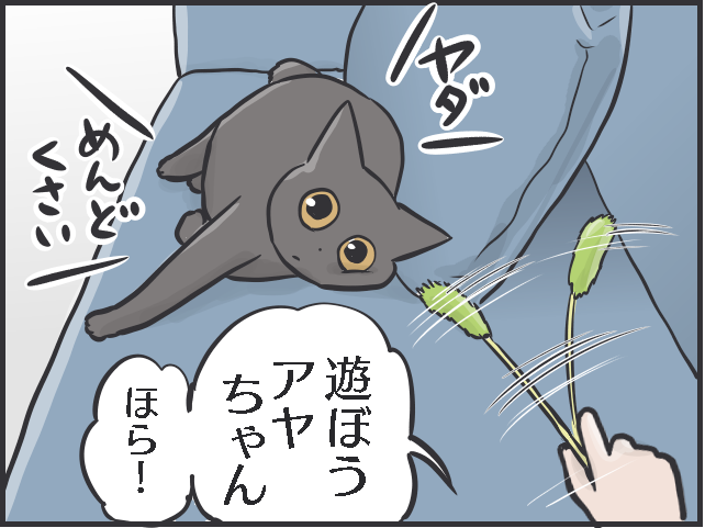 「猫の召使い」の生活。普段は甘えてこないくせに...要求が細かくない!?／フニャコ（2）