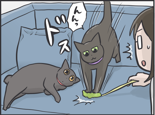 「猫の召使い」の生活。普段は甘えてこないくせに...要求が細かくない!?／フニャコ（3）
