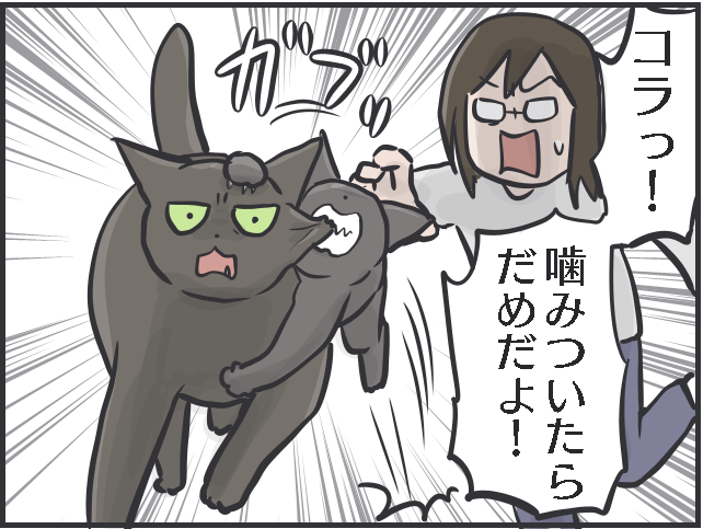 「猫の召使い」の生活。普段は甘えてこないくせに...要求が細かくない!?／フニャコ（5）