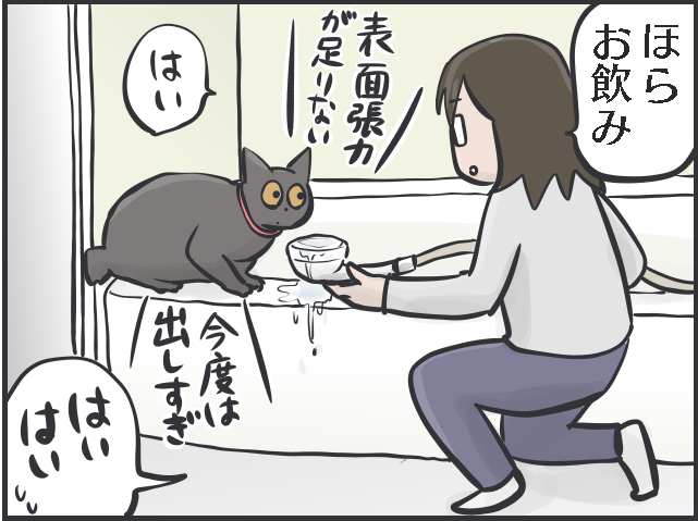 「猫の召使い」の生活。普段は甘えてこないくせに...要求が細かくない!?／フニャコ（7）