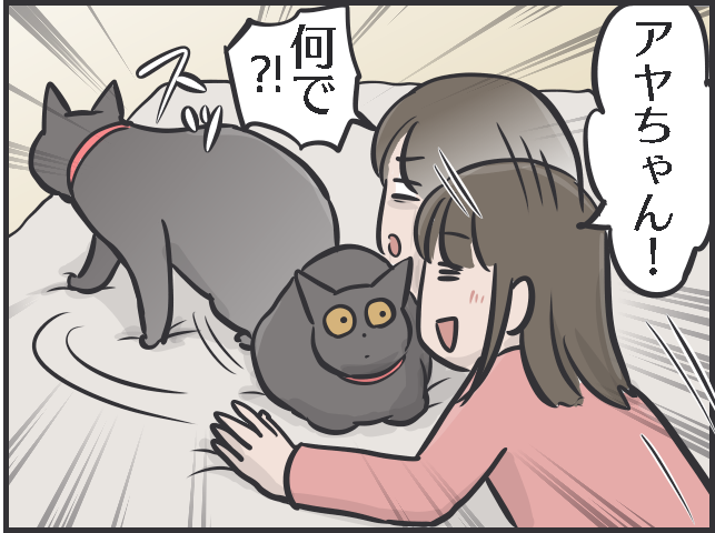 「猫の召使い」の生活。普段は甘えてこないくせに...要求が細かくない!?／フニャコ（8）