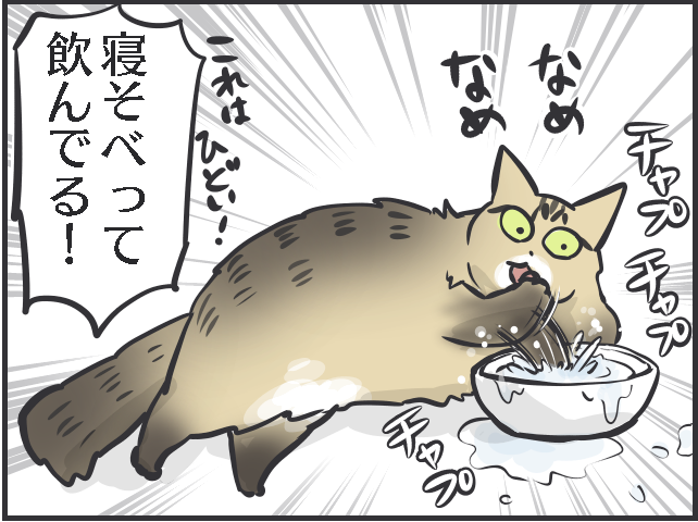 「寝そべって水を飲んでいる！」三猫三様!? 猫たちの「水飲み事情」／フニャコ（1）