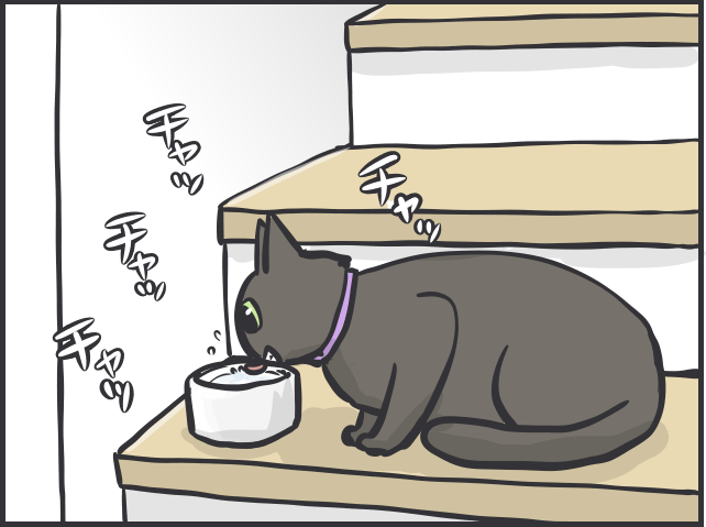 「寝そべって水を飲んでいる！」三猫三様!? 猫たちの「水飲み事情」／フニャコ（4）