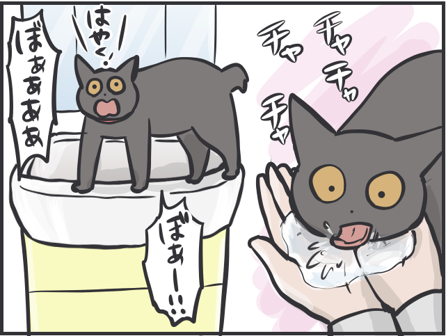 「寝そべって水を飲んでいる！」三猫三様!? 猫たちの「水飲み事情」／フニャコ（5）