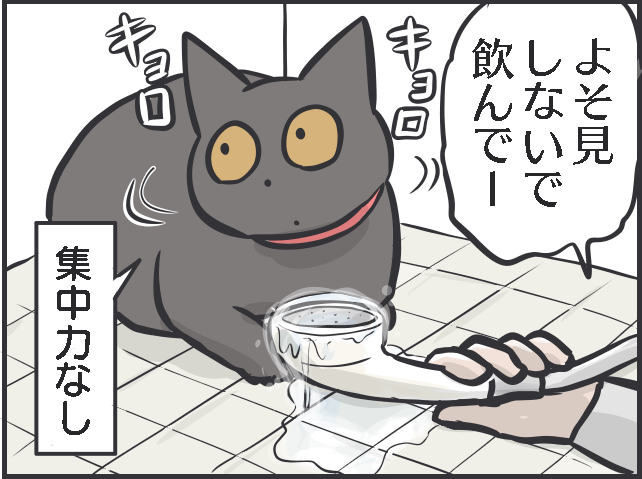 「寝そべって水を飲んでいる！」三猫三様!? 猫たちの「水飲み事情」／フニャコ（6）