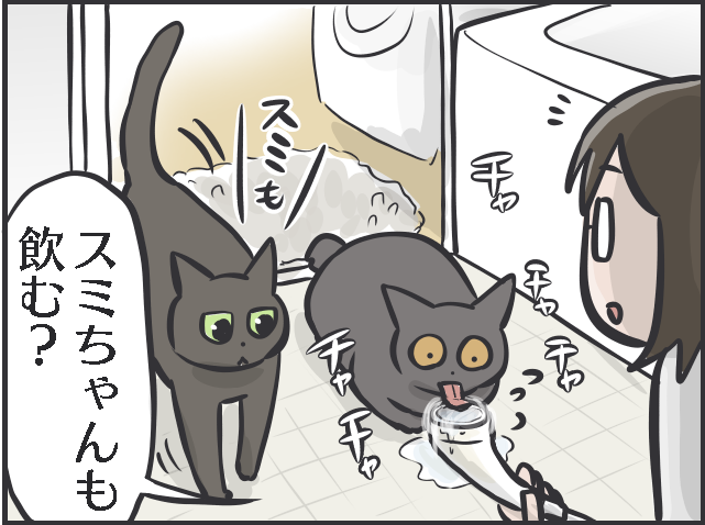 「寝そべって水を飲んでいる！」三猫三様!? 猫たちの「水飲み事情」／フニャコ（7）