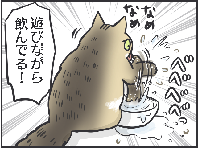 「寝そべって水を飲んでいる！」三猫三様!? 猫たちの「水飲み事情」／フニャコ（8）