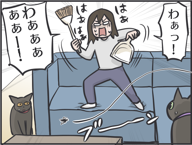 飼い主は大パニック！ 完全室内飼いの「箱入り猫」が小さな虫と遭遇した時の反応は？／フニャコ（1）