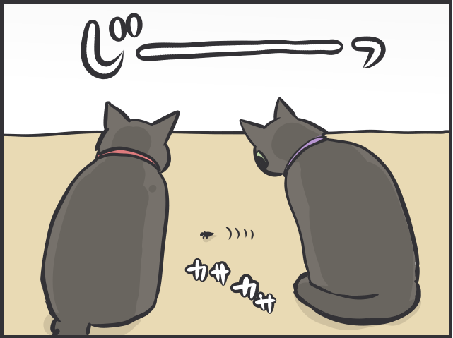 飼い主は大パニック！ 完全室内飼いの「箱入り猫」が小さな虫と遭遇した時の反応は？／フニャコ（2）