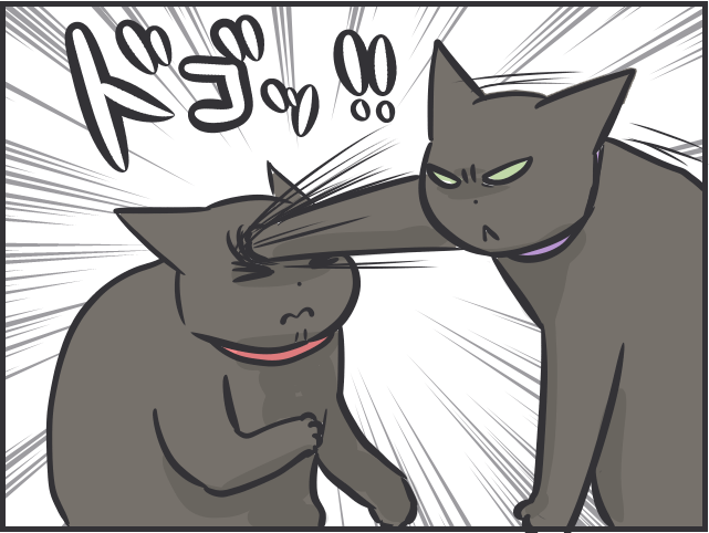 飼い主は大パニック！ 完全室内飼いの「箱入り猫」が小さな虫と遭遇した時の反応は？／フニャコ（3）
