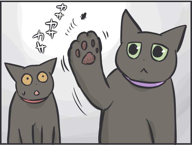 飼い主は大パニック！ 完全室内飼いの「箱入り猫」が小さな虫と遭遇した時の反応は？／フニャコ（4）