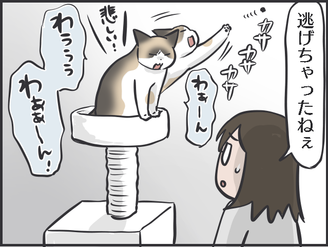 飼い主は大パニック！ 完全室内飼いの「箱入り猫」が小さな虫と遭遇した時の反応は？／フニャコ（5）