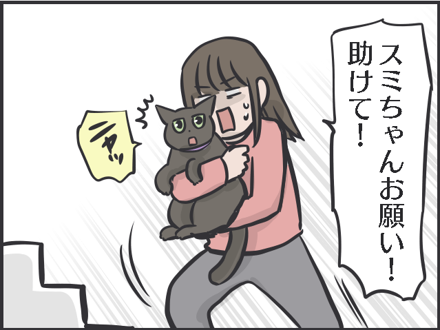 飼い主は大パニック！ 完全室内飼いの「箱入り猫」が小さな虫と遭遇した時の反応は？／フニャコ（6）