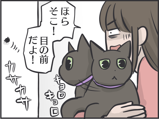 飼い主は大パニック！ 完全室内飼いの「箱入り猫」が小さな虫と遭遇した時の反応は？／フニャコ（7）