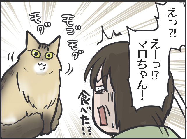 飼い主は大パニック！ 完全室内飼いの「箱入り猫」が小さな虫と遭遇した時の反応は？／フニャコ（10）