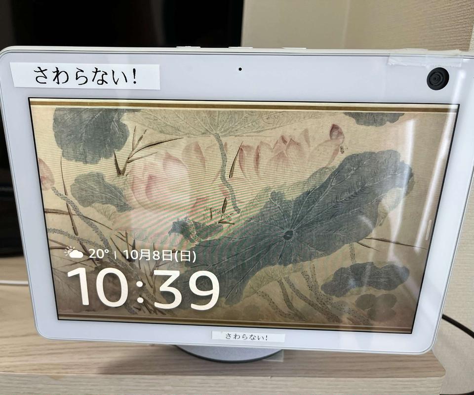 老人ホームにいる母とテレビ電話で交流したい！ でもなぜか画面に不信感があるようで...／ワフウフ（2）
