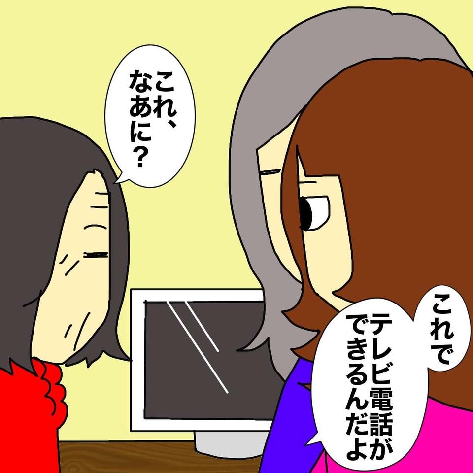 老人ホームにいる母とテレビ電話で交流したい！ でもなぜか画面に不信感があるようで...／ワフウフ（3）