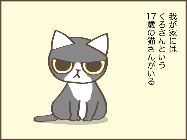 もしかして我慢させていた...？1匹になってしまった飼い猫の、私への態度の変化／しまえもん（2）