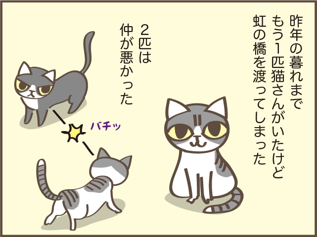 もしかして我慢させていた...？1匹になってしまった飼い猫の、私への態度の変化／しまえもん（3）