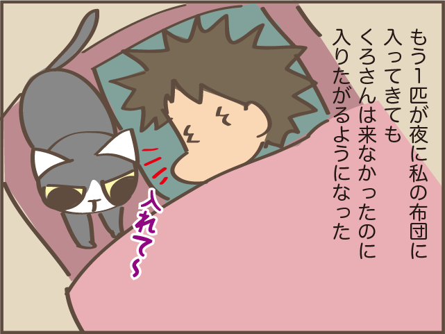 もしかして我慢させていた...？1匹になってしまった飼い猫の、私への態度の変化／しまえもん（7）
